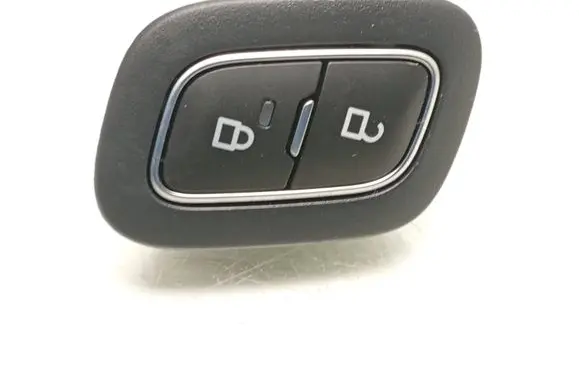 Ford Mustang Mach-E Central locking switch button F1ET14017BB LJ8B218A82A