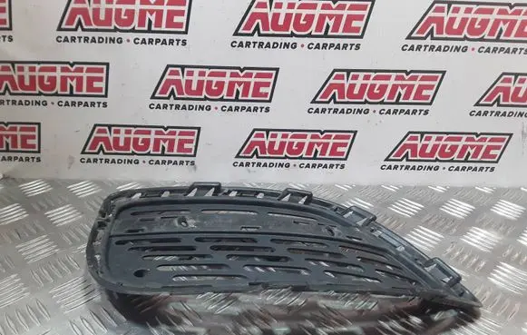 Front bumper lower grill