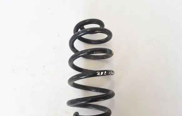 Renault Zoe Rear coil spring 550202131R