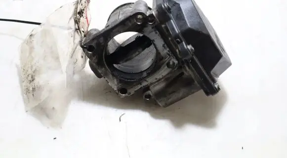 Throttle body valve