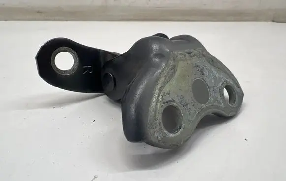 Toyota C-HR I Front door lower hinge 