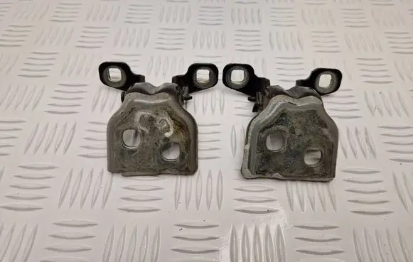 Dacia Duster Rear door hinge set 