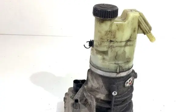 Renault Master III Power steering pump 491103543R
