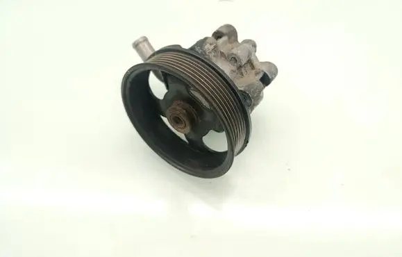 Dodge Grand Caravan Power steering pump 20200403 2022364 201042