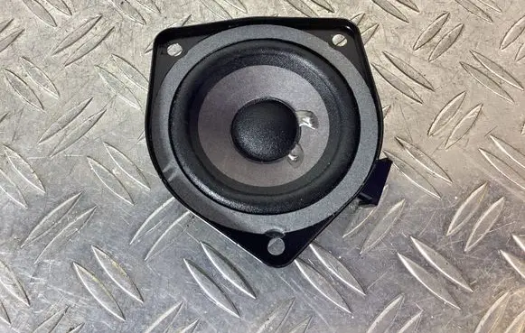 Panel speaker