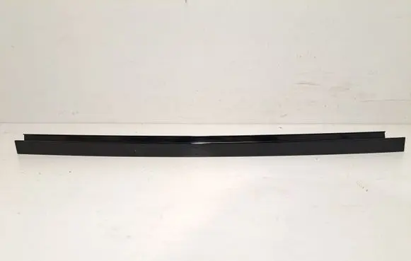 Rear door glass trim molding