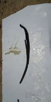 Honda Accord Windshield/front glass wiper blade NOCODE