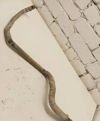 Ford Ranger Engine coolant pipe/hose