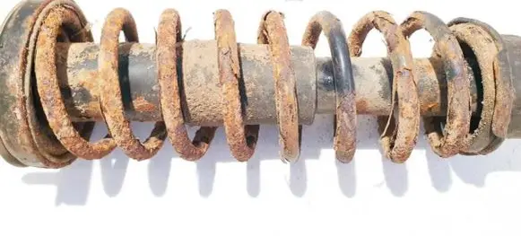 Honda Civic Rear coil spring
