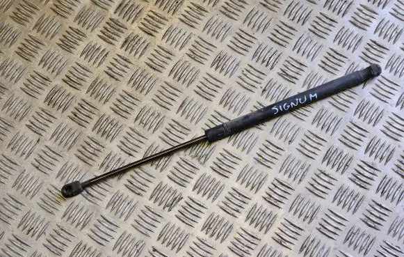 Opel Signum Tailgate/trunk strut/damper 13191401 69277J0700N