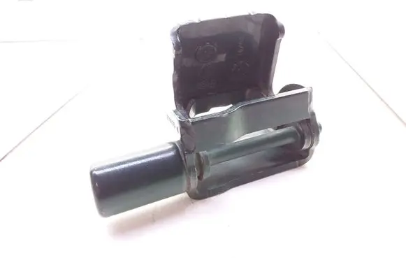 Renault Modus Rear door lower hinge 213725