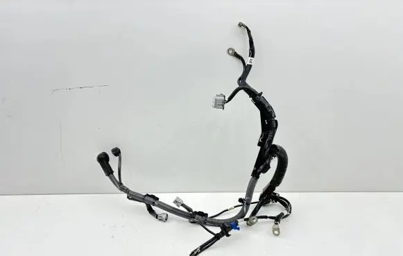 Subaru Outback (BT) Wires (generator/alternator) 81601AN03A