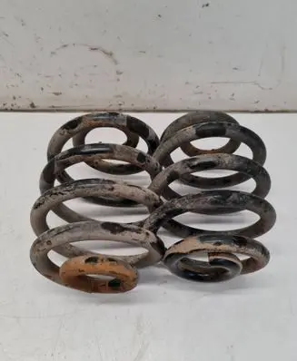 Rear coil spring