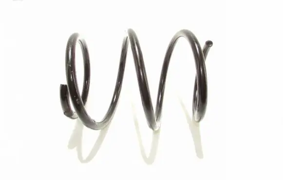 Front coil spring