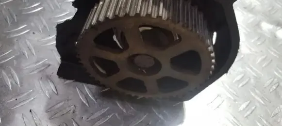Fiat Bravo - Brava Camshaft pulley/ VANOS 