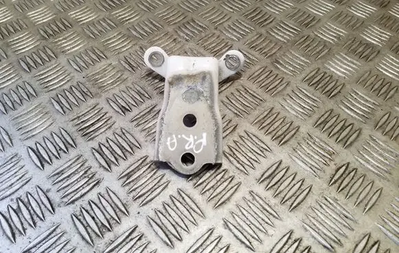 Chevrolet Captiva Front door lower hinge 