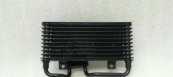 Mercedes-Benz S W221 Engine oil radiator A2215000600