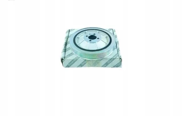 Fiat 500L Crankshaft pulley 55210310
