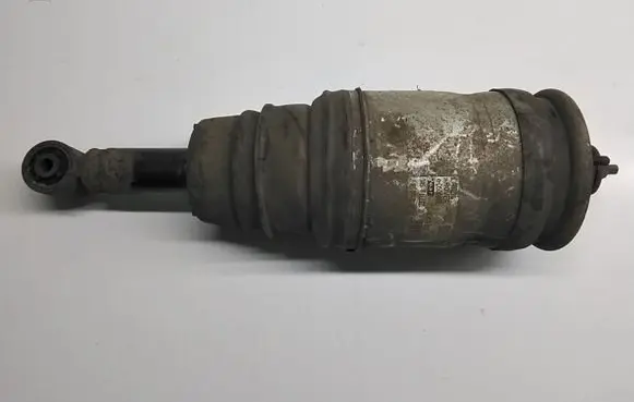 Land Rover Range Rover Sport L320 Rear shock absorber/damper RPD500850
