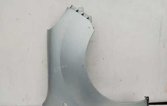 Renault Kangoo II Fender