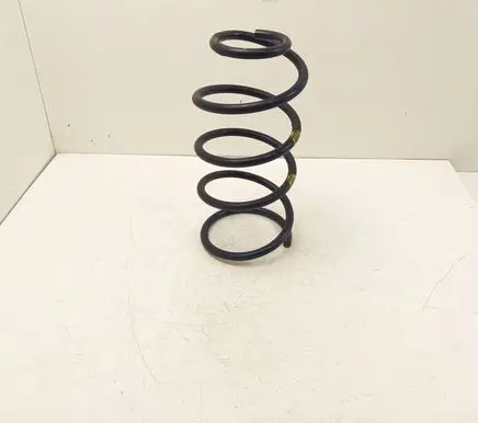 Front coil spring