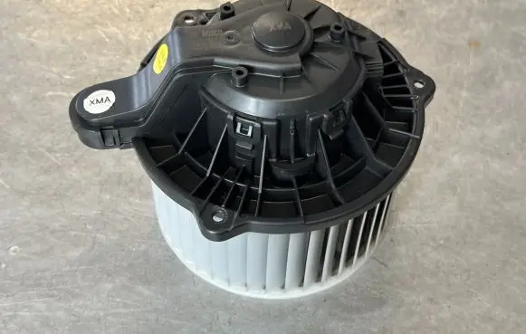 Hyundai Santa Fe Heater fan/blower F00S3B2412