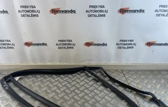 BMW 5 G30 G31 G38 Rubber seal rear door window/glass 