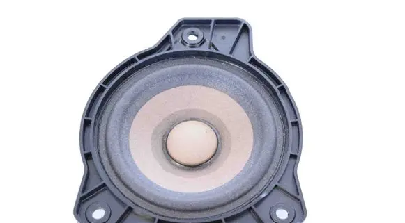 Polestar 2 Panel speaker 31456871