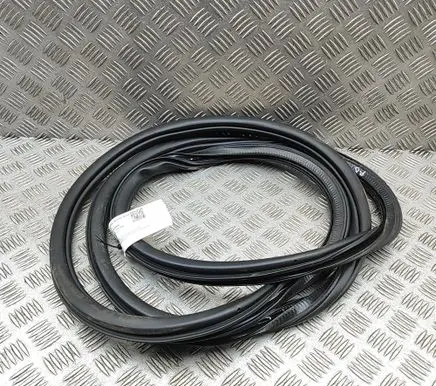 Volkswagen ID. Buzz Rubber seal front door (on door) 1T3867912F