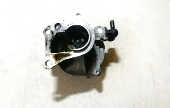 Suzuki Grand Vitara II Vacuum pump d163r 720562