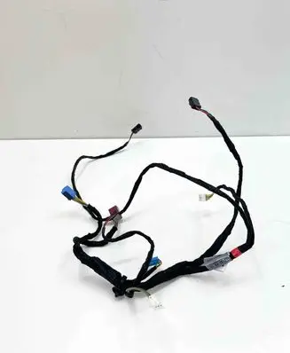 Front door wiring loom
