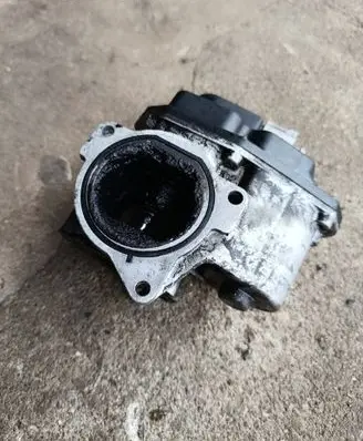 Volkswagen Tiguan EGR valve 424440431