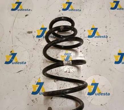 Opel Antara Front coil spring 95096689