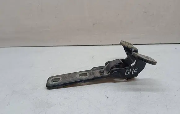 BMW X5 E70 Tailgate/trunk/boot hinge 7149627