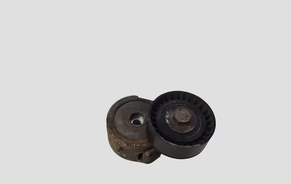 Peugeot 407 Generator/alternator belt tensioner
