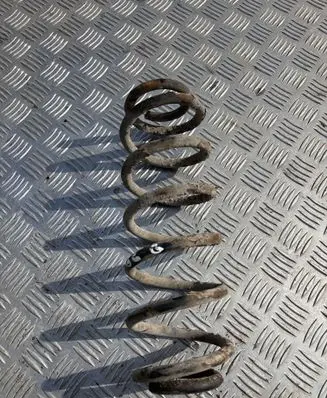 Volkswagen Golf VI Rear coil spring 