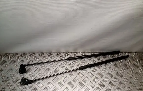 Tailgate/trunk strut/damper