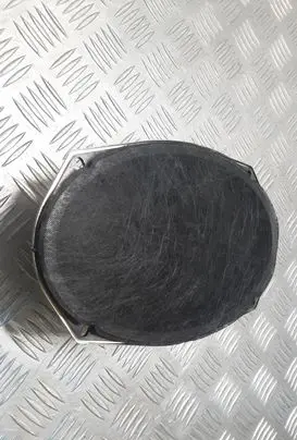Chrysler Grand Voyager V Rear door speaker 05091019AB
