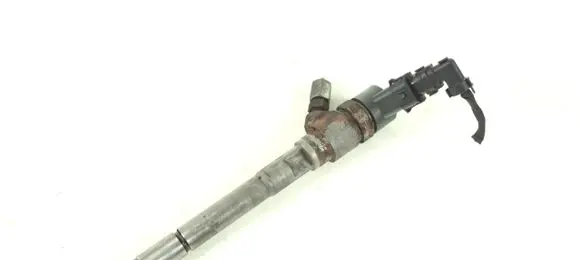 Hyundai Santa Fe Fuel injector 0445110254 3380027800