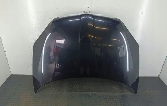 Skoda Fabia Mk2 (5J) Engine bonnet/hood LF9R