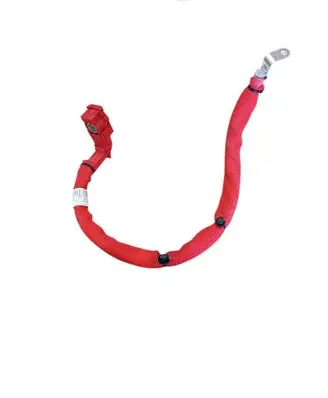 BMW X3 G01 Positive cable (battery) 6839821 619133104 6839820