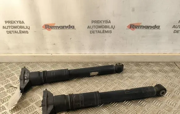 Citroen C4 X Rear shock absorber/damper 9841379480