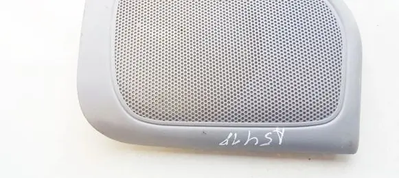 Side speaker trim/cover