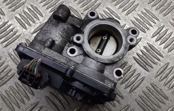 Renault Clio III Throttle body valve 8200570865E