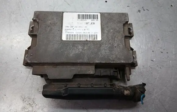 Engine control unit/module ECU