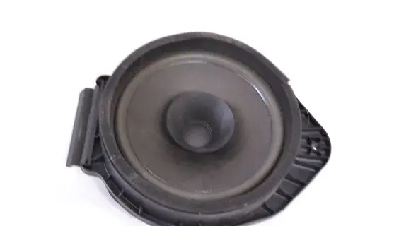 Chevrolet Trax Rear door speaker 22889823
