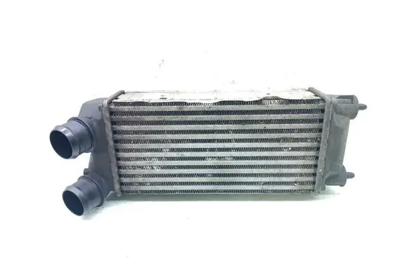 Peugeot 5008 Intercooler radiator 9800291280