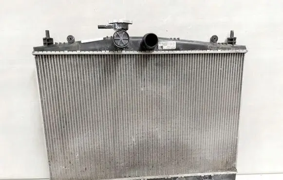 Nissan Juke I F15 Coolant radiator 21410BA60A