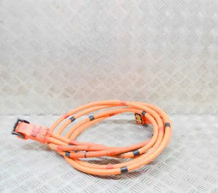 Tesla Model 3 Other wiring loom 110900300E