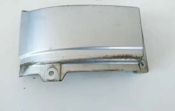 Rear/tail light trim molding